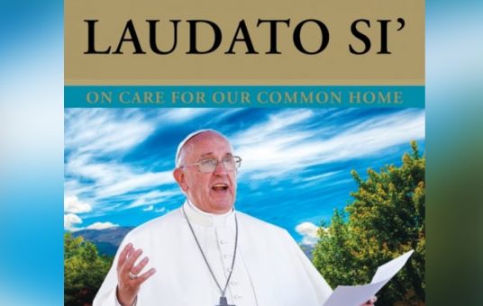 Laudato si