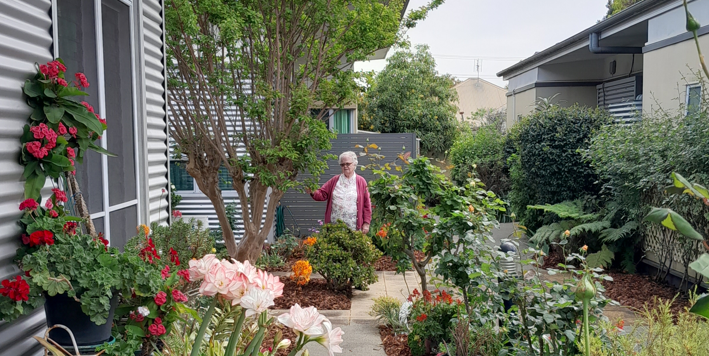 AnnDGarden