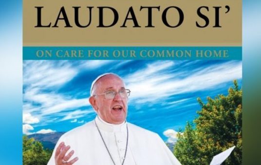 Laudato si